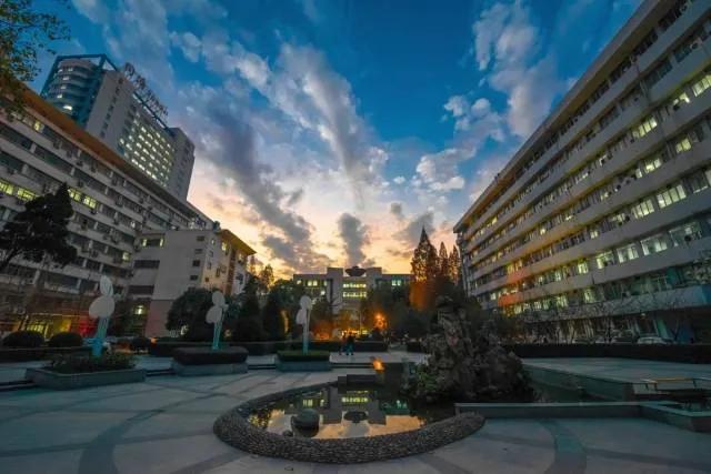 一个未来前景光明的医学院：同济大学医学院