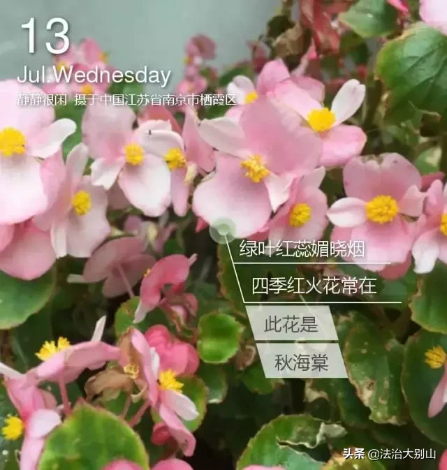 高考在即，黄冈中学名师教你各科踢好