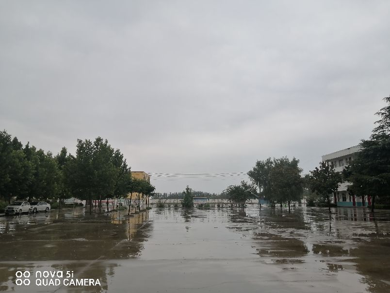 雨后晨光（五律）