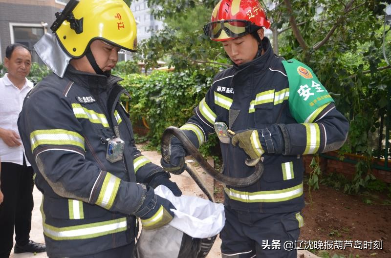 葫芦岛玉皇商城招聘（7月10日）