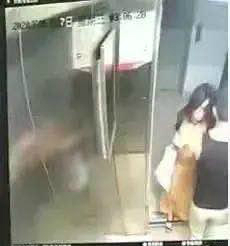 女子凌晨乘小区电梯被劫杀，留下家中3个孩子，凶手埋尸时被抓