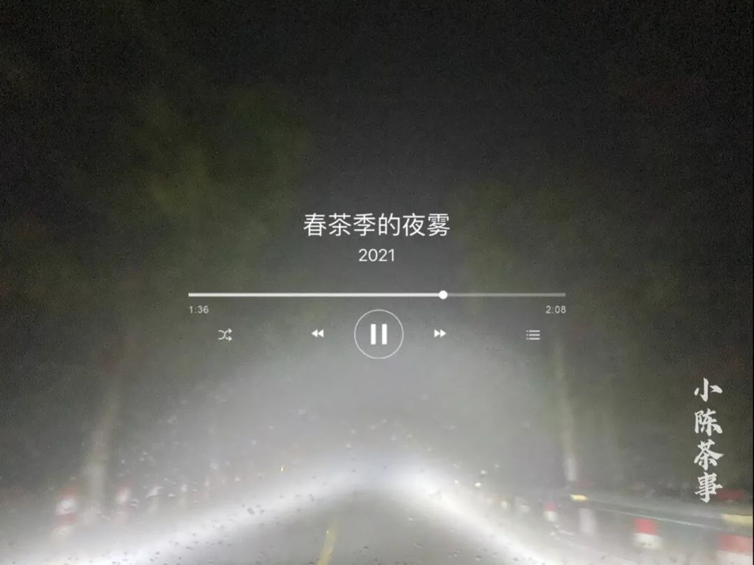 春茶季，除了白毫银针、白牡丹、春寿眉，说说太姥山的雾与露