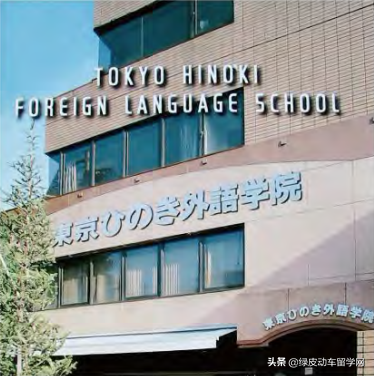 日本语言学校评测——被忽略的宝藏，太阳树日本语学校