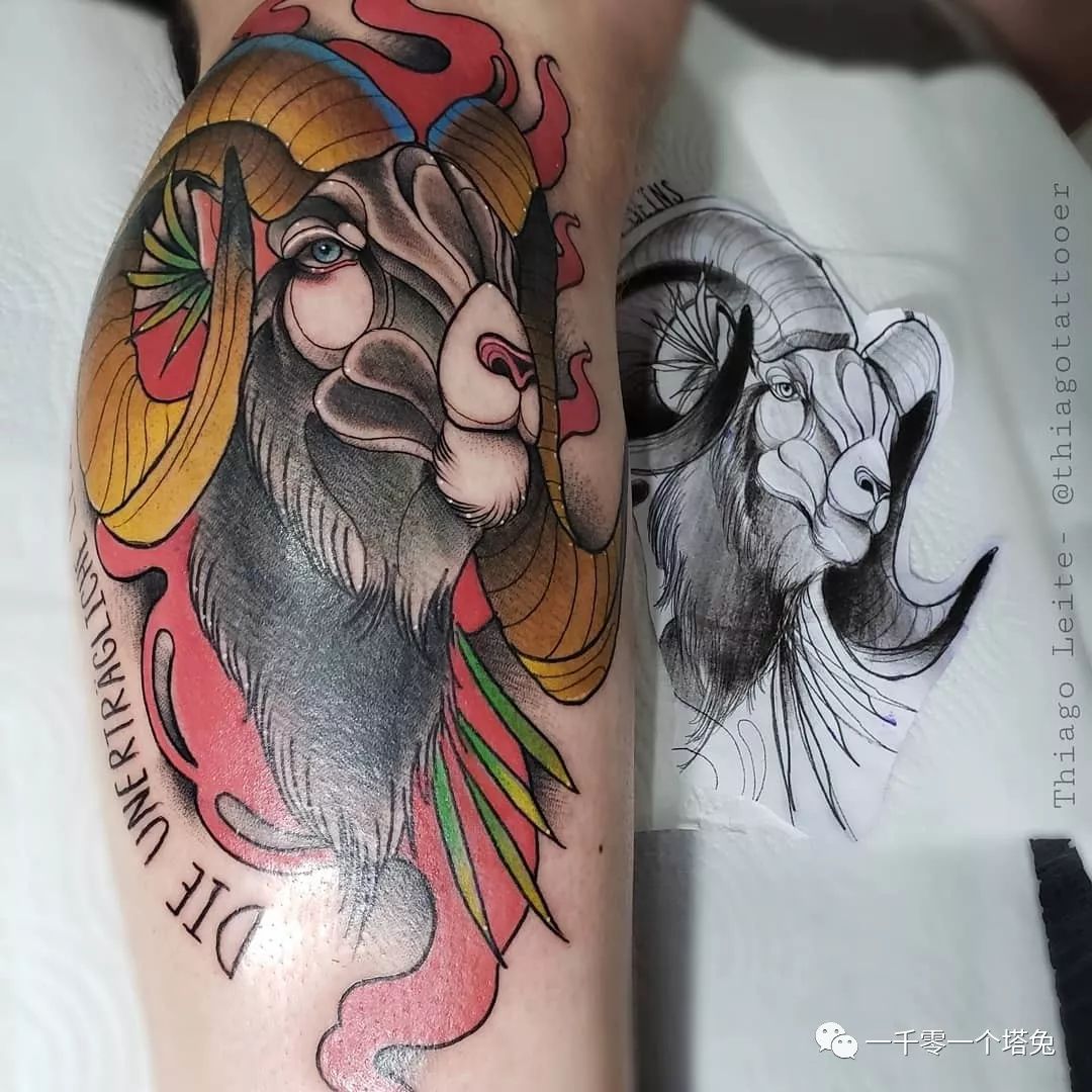 纹身图案分类第8期-动物-山羊