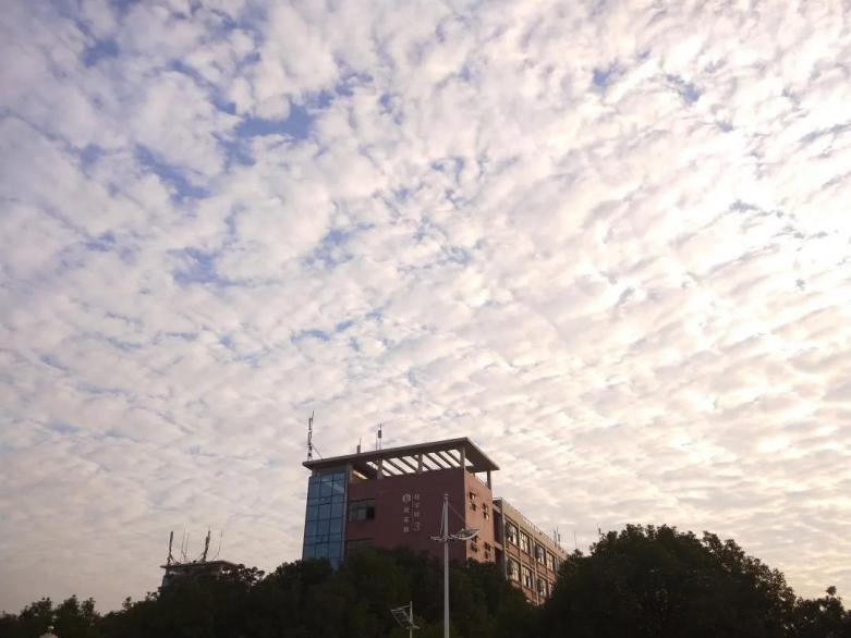 省属第一！湖北这所高校筹资1.17亿元，吸引多所大学学习经验