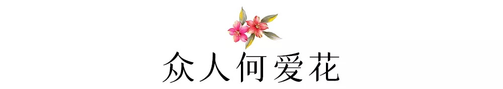 花如美人，文豪皆醉