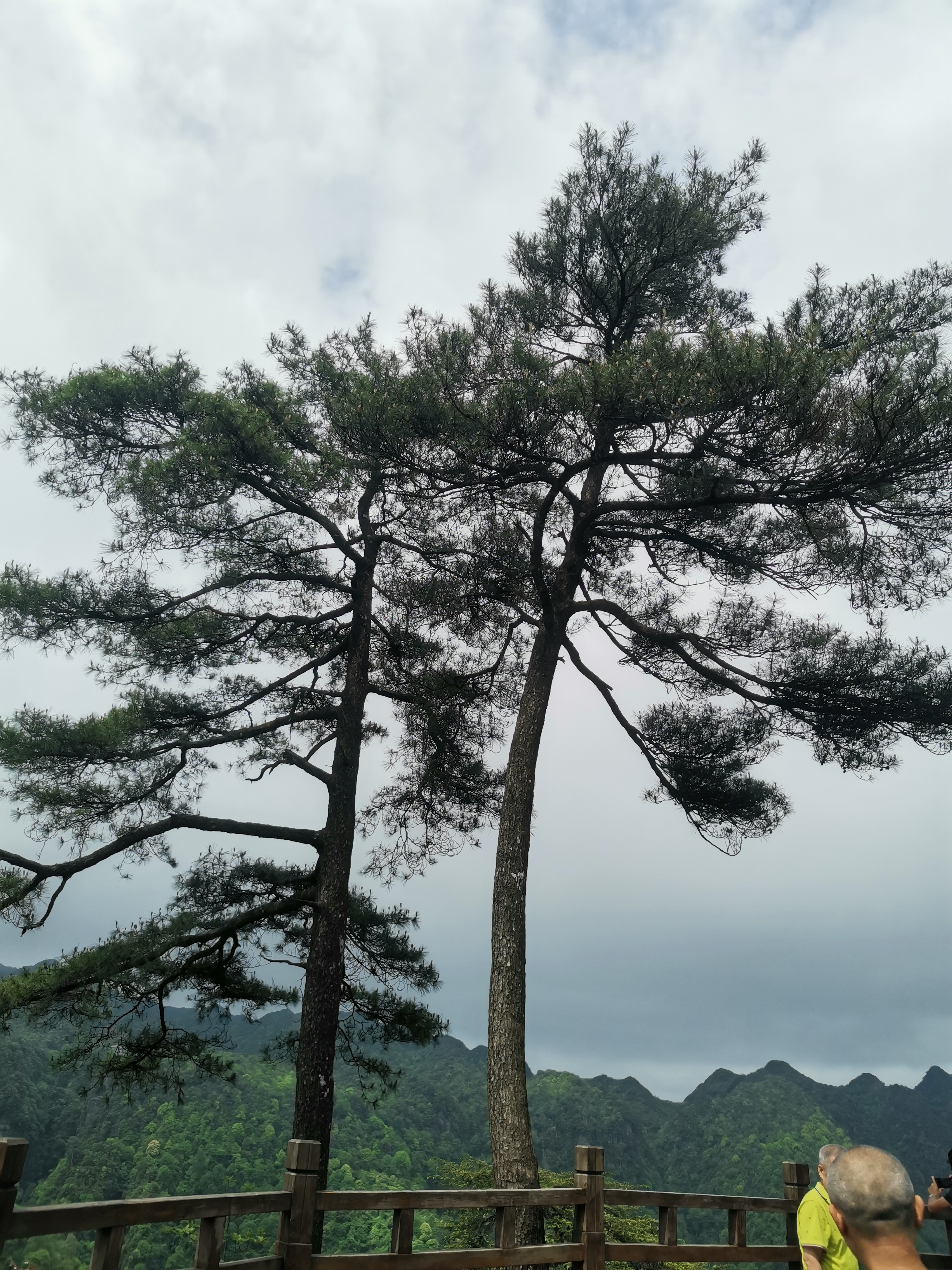 周末带上家人自驾旅游—广西大明山