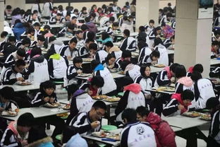 万人追捧的衡水中学，半军事化管理，外界称之为“高考工厂”！