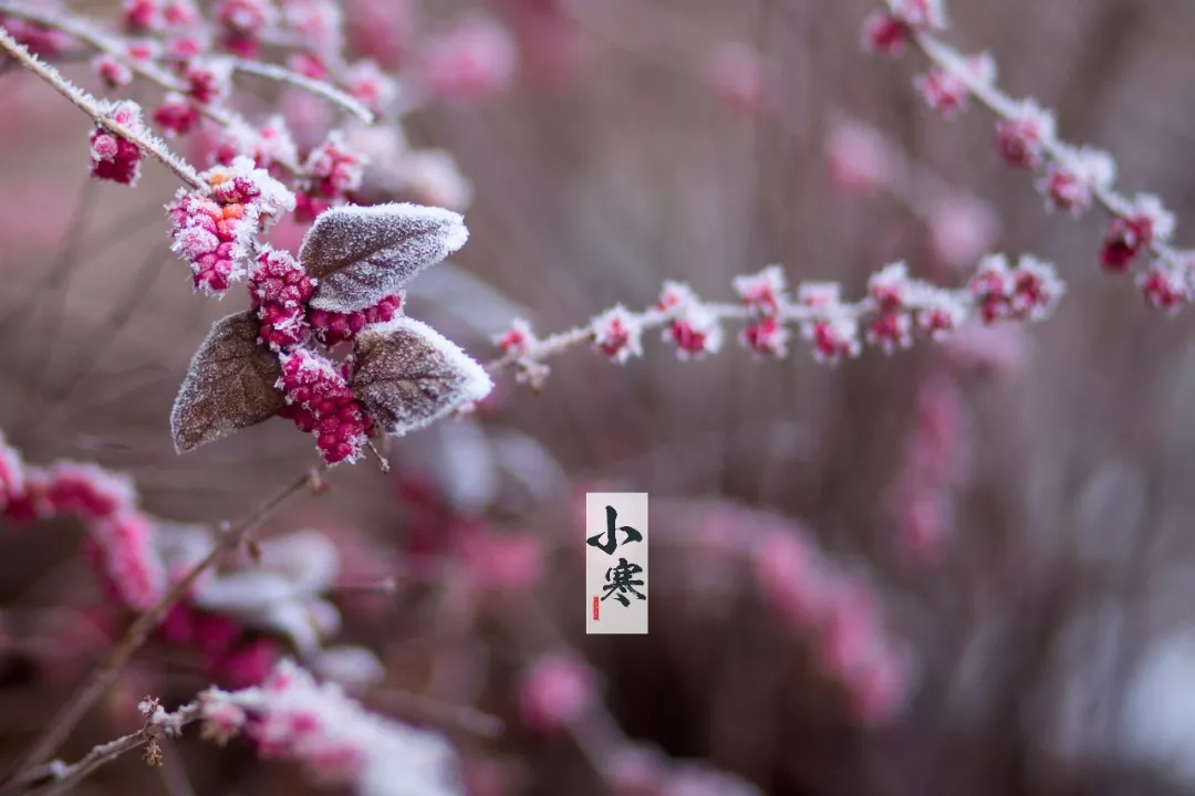 小寒节气唯美简单说说，小寒发朋友圈的暖心句子