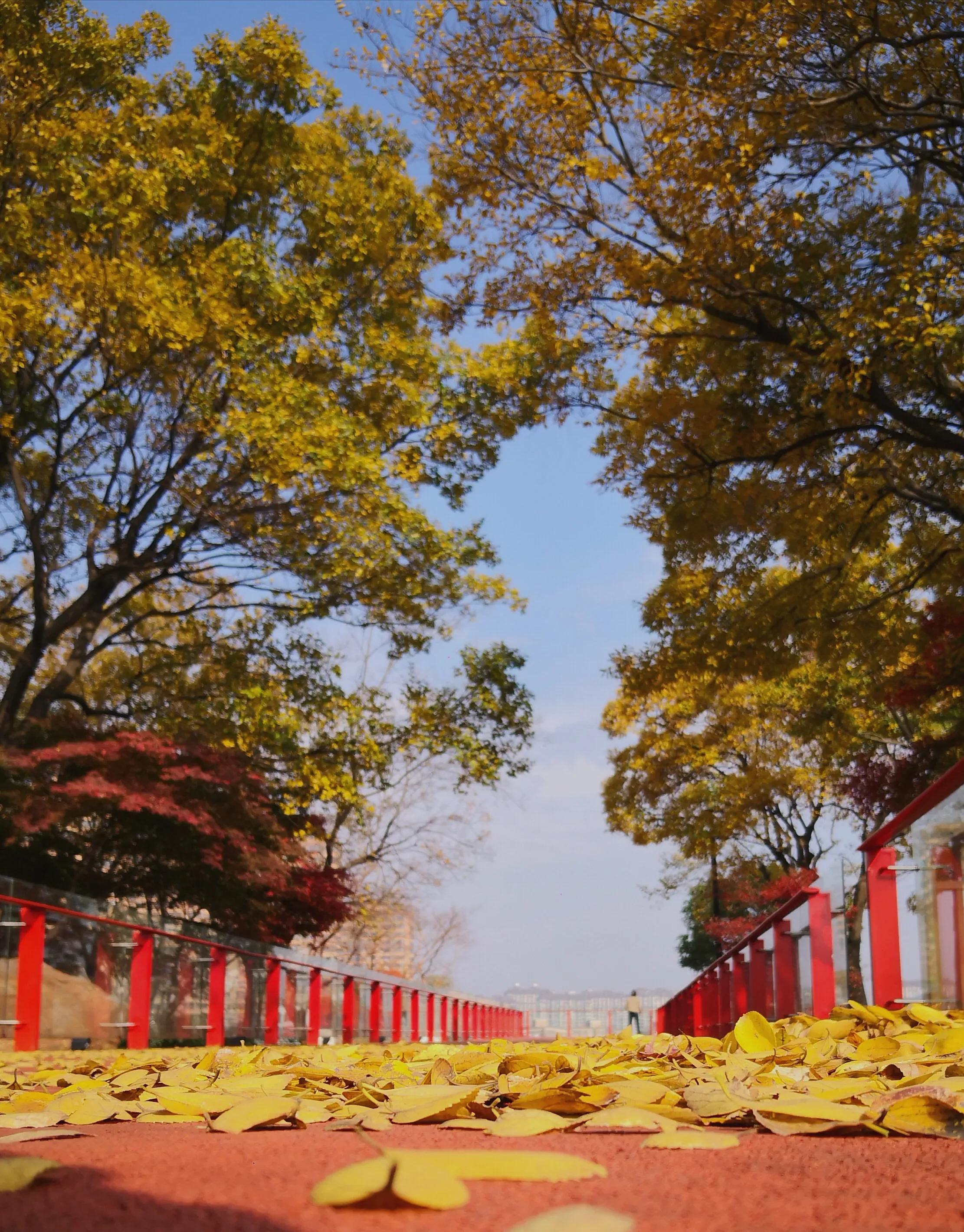 手拍世界（手机摄影平台）-群员作品集（总第733期）