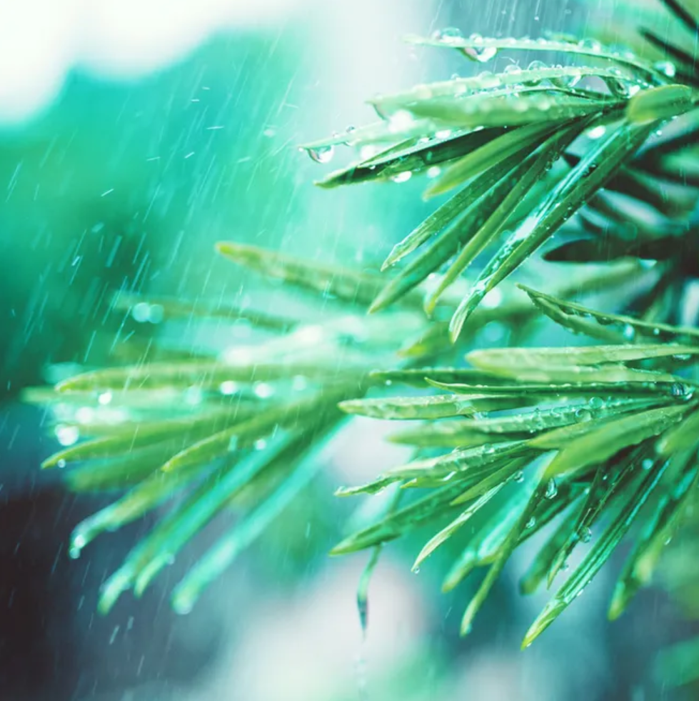 「诗词鉴赏」12首有关小雨的诗词，让小雨驱散夏日的炎热