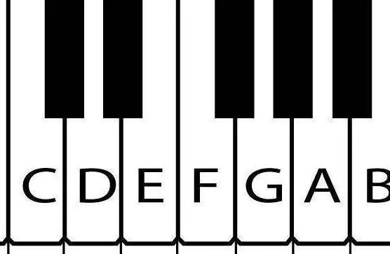钢琴键盘示意图88键(教你认识一组钢琴键盘)