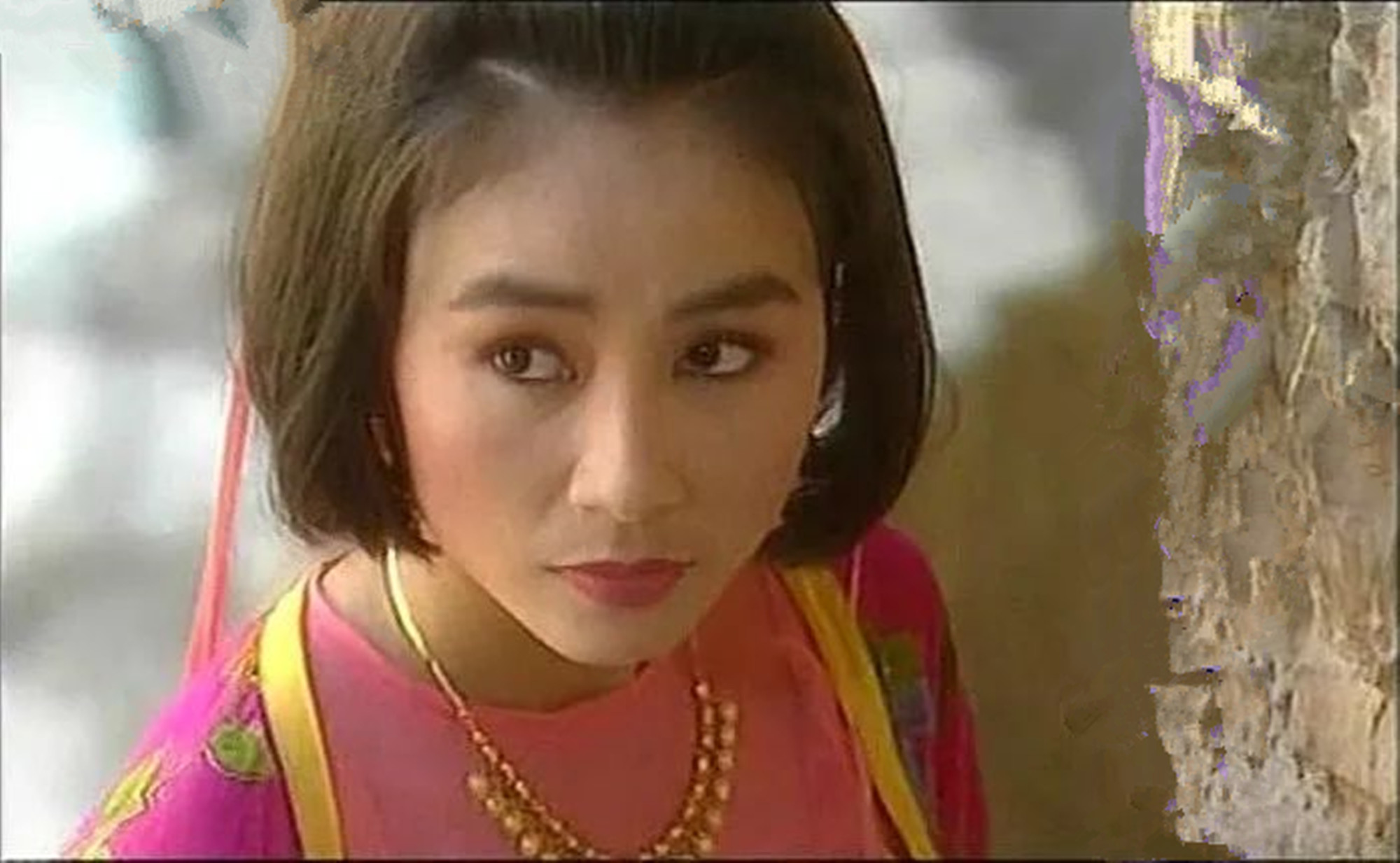 电视剧《莲花争霸》播出28年,女主角嫁给高官,女配角改了国籍