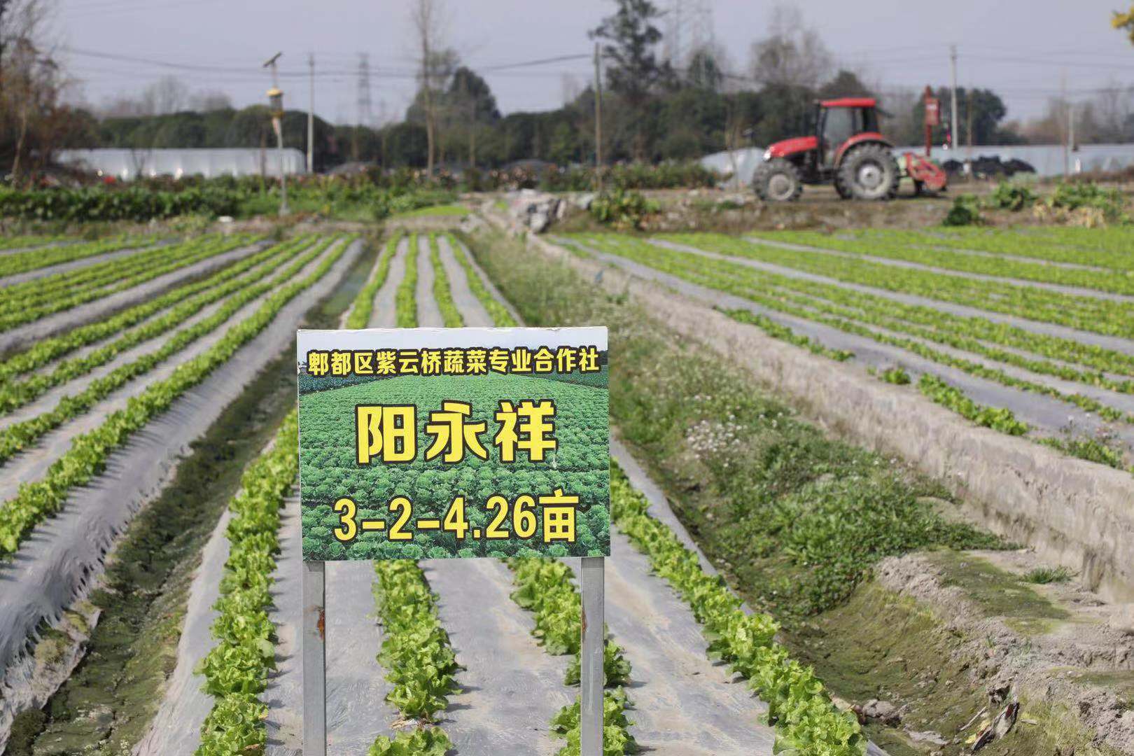 成都郫都區(qū)：為鄉(xiāng)村振興植入現(xiàn)代智慧農(nóng)機裝備“硬核”