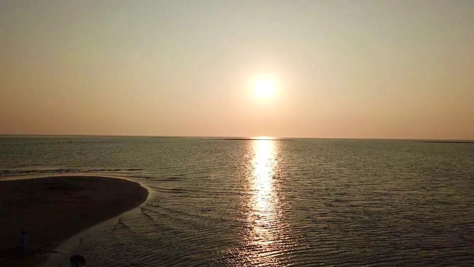 菠萝的海，香飘四海，来这里看广东最美的田园风光