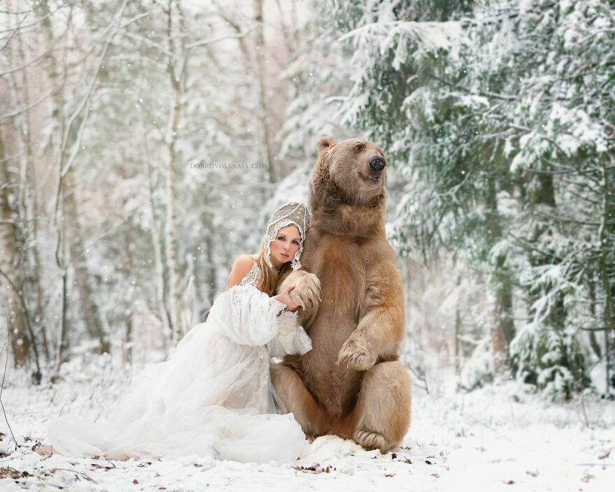 俄罗斯摄影师冰天雪地,拍摄60张美女与野兽,熊和老虎是标配