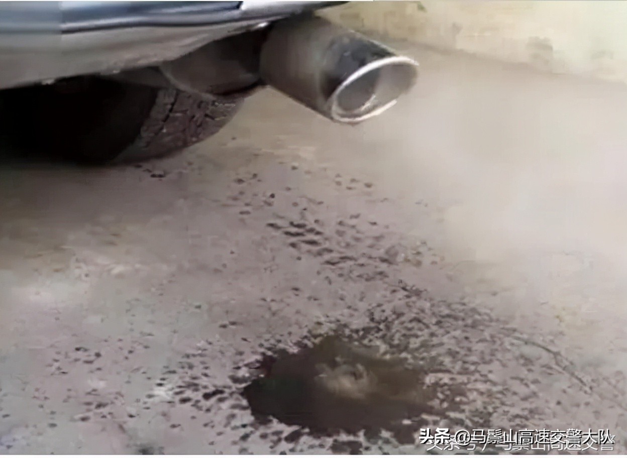汽车排气管滴水正常吗？揭秘背后原因