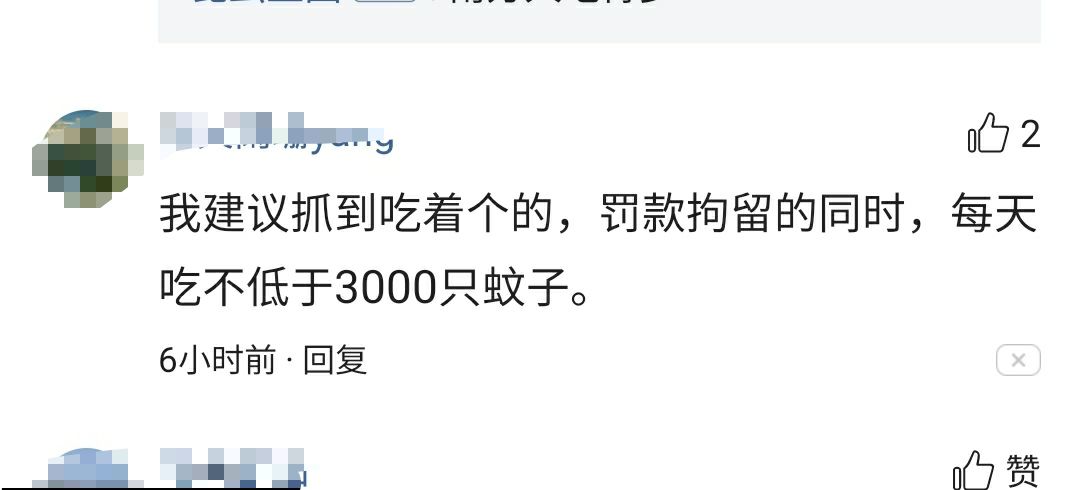 人类为啥疯狂捕食蚊子天敌？网友：我们已经遭到报复了