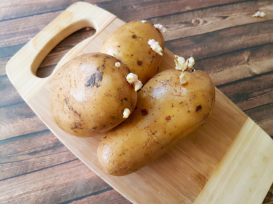 食物发芽后还能吃吗？