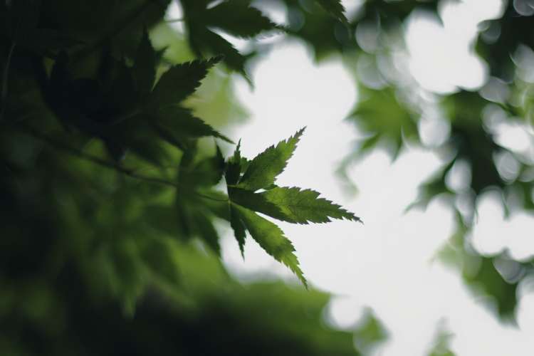 遭遇侵犯后，我成了一名“性咨询师”