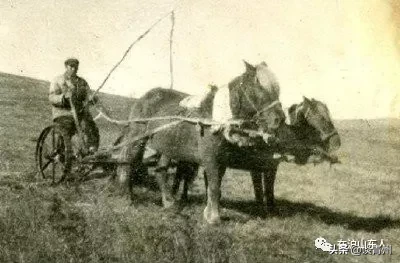 比电视剧更真实更精彩：一户闯关东人家80年的风雨人生