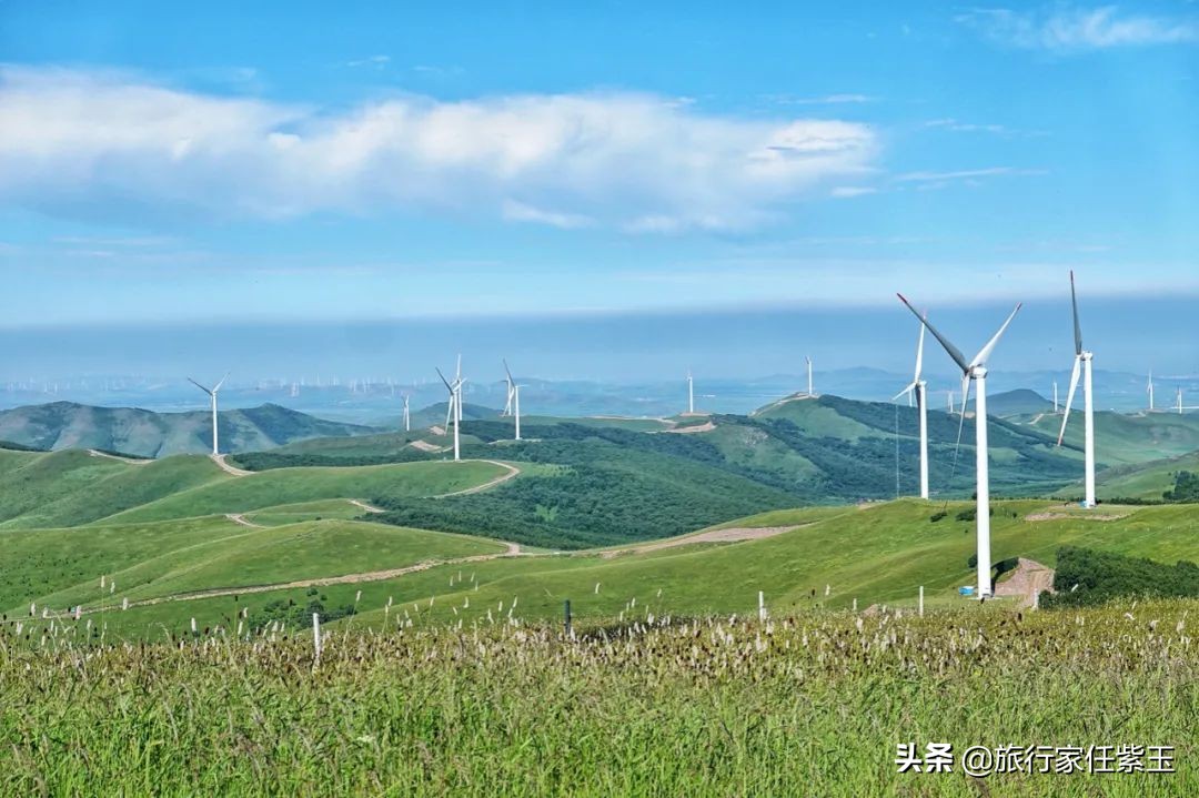 承德坝上，想和你潜入森林漫步草原，看日出日落，雨疏星骤