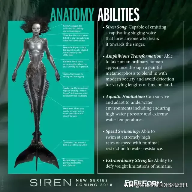美剧推荐《媚海妖》：其实童话里的人鱼都是骗人的
