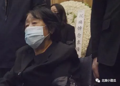 夫人坐轮椅泪别袁隆平:那个宠了她一辈子的人,永远地走了!