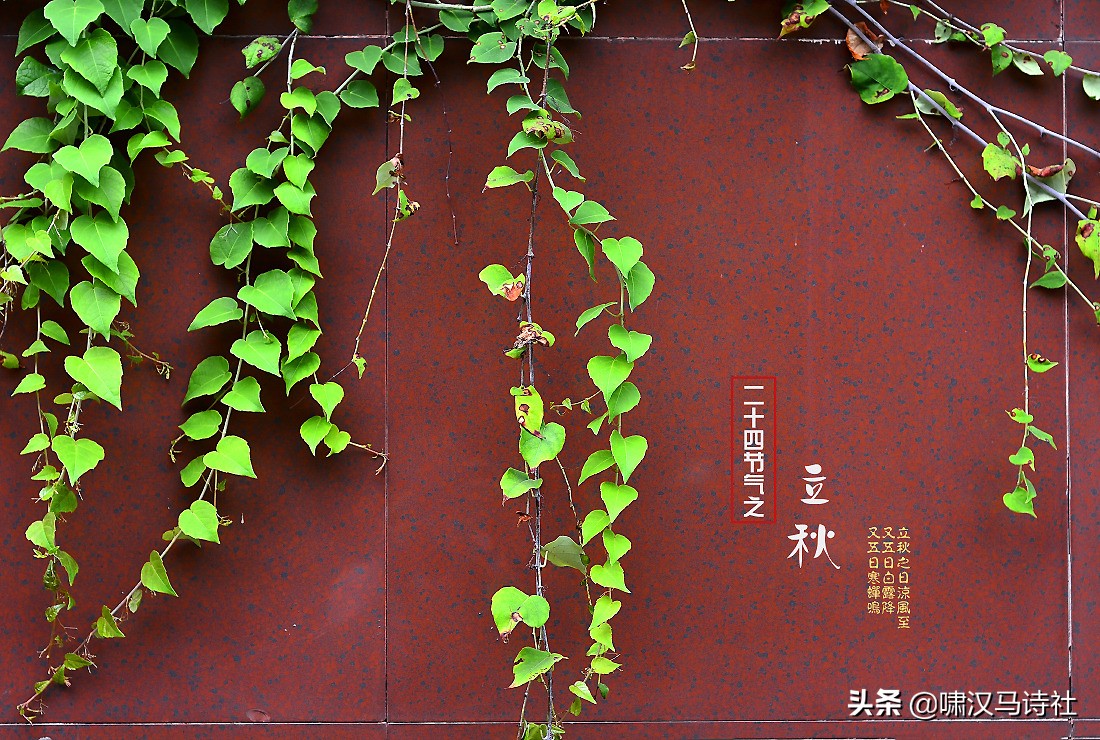 几缕荷香浮夏末，一檐风雨动秋声--啸汉马诗社社课雅集第十五辑