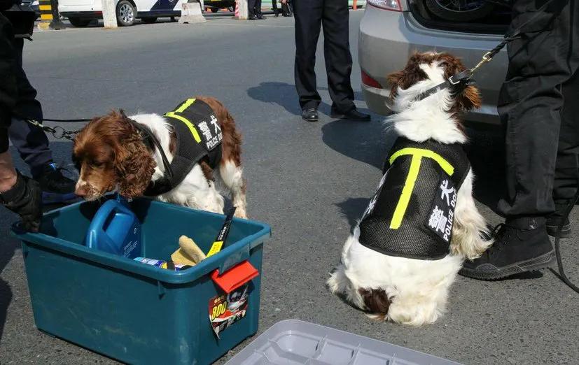 《犬诗十卷》第四卷·警犬