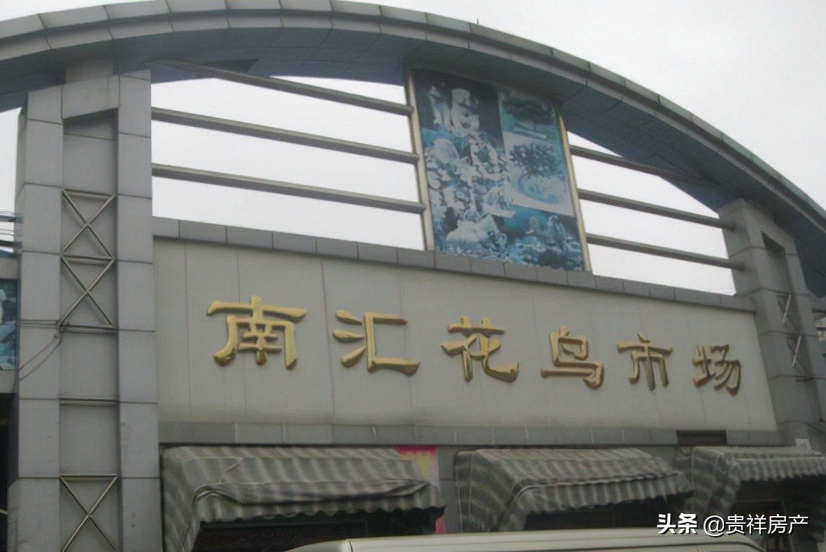 全国十大花鸟鱼虫市场，十里河花鸟市场上榜，第一全国规模最大