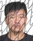 被执行人信息,被执行人信息查询