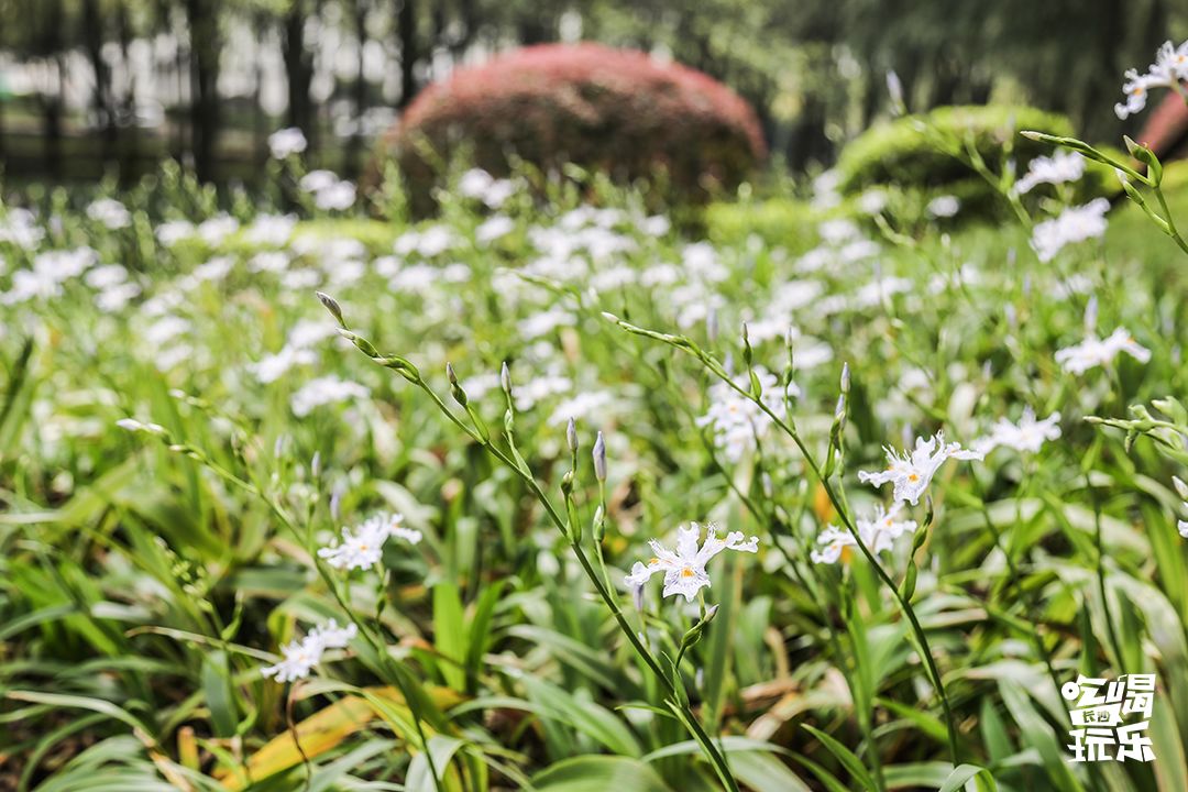 下一站，长沙大学
