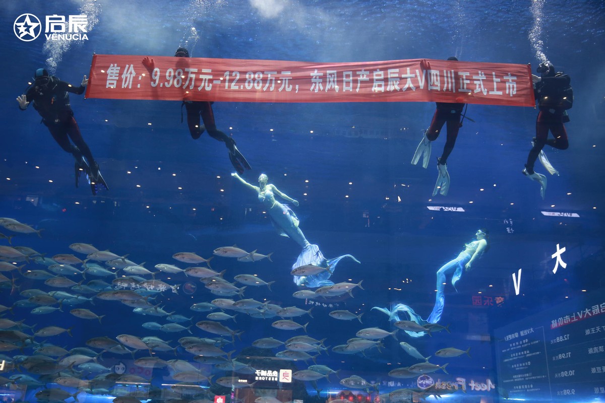 东风日产启辰大V燃情上市四川东风南方成都发布会劲爆西南