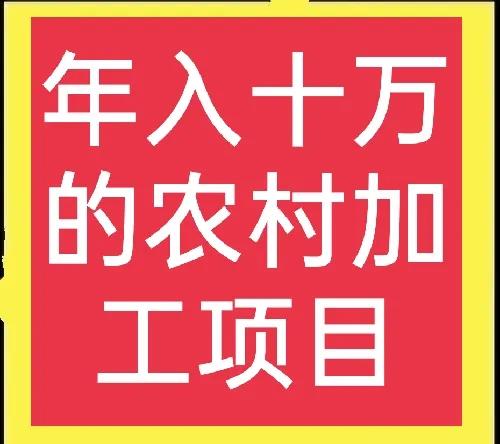 有啥好项目在家办厂 致富项目加工办厂
