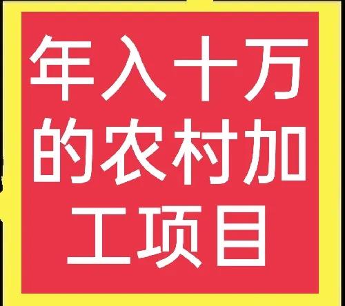 有啥好项目在家办厂 致富项目加工办厂