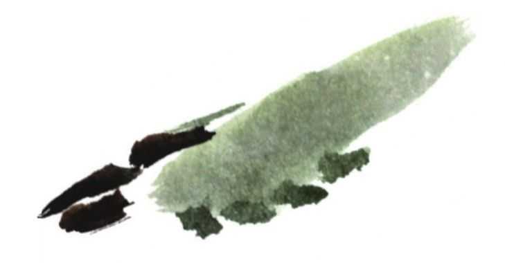 零基础国画教程：分步骤教你画纺织娘、蝉、蝗虫画法，简单易学