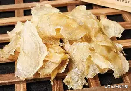 鱼胶怎么泡发好（分享鱼胶的正确泡发方法）