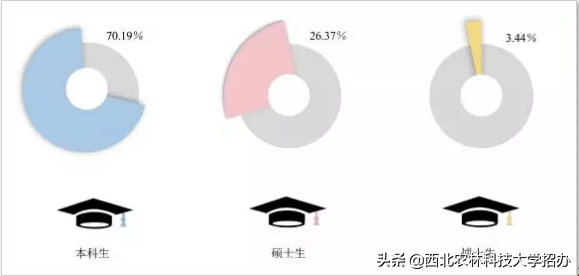 25个专业就业率100%，世界500强都来
