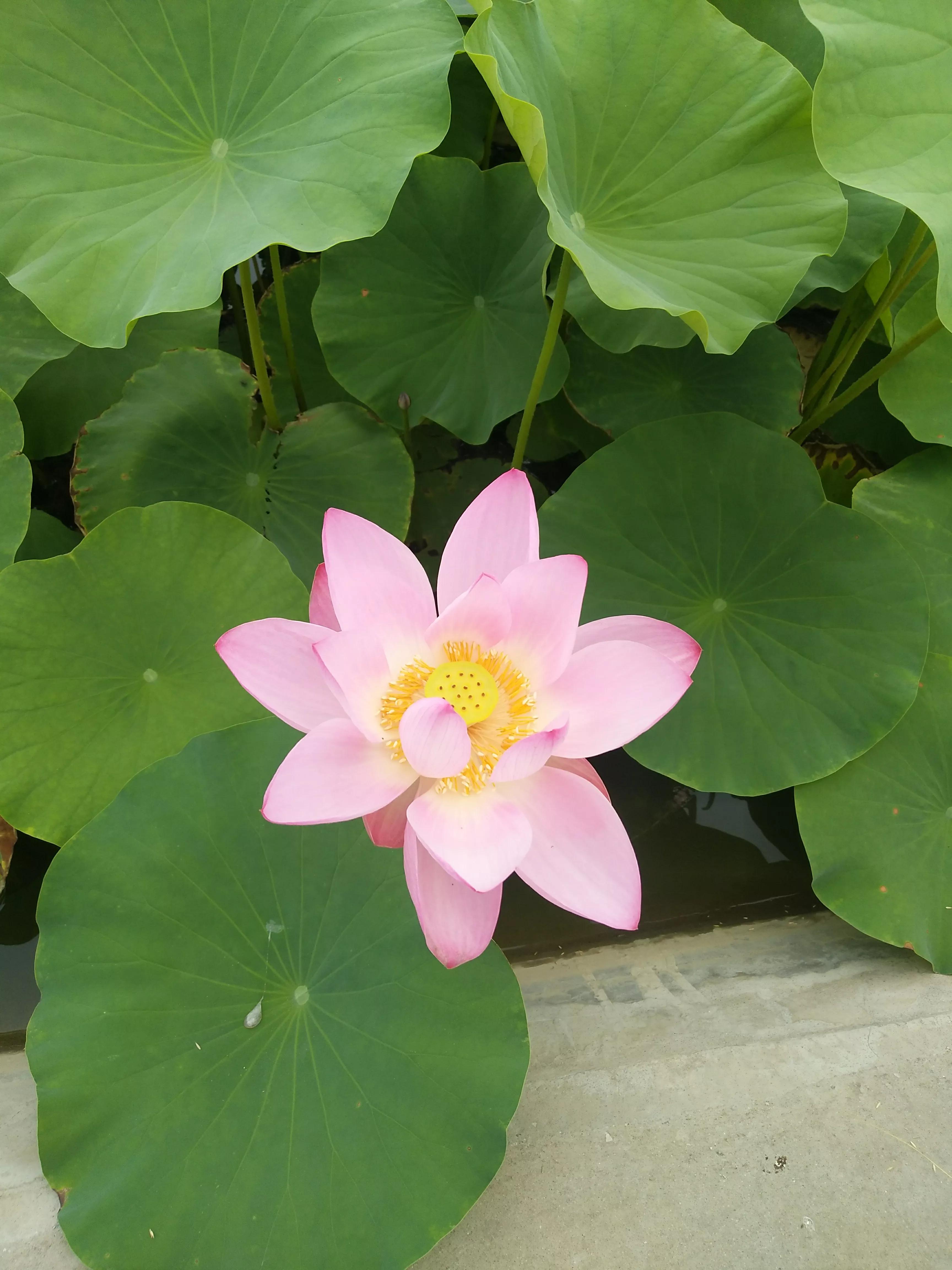 致已不再年轻的自己十句话