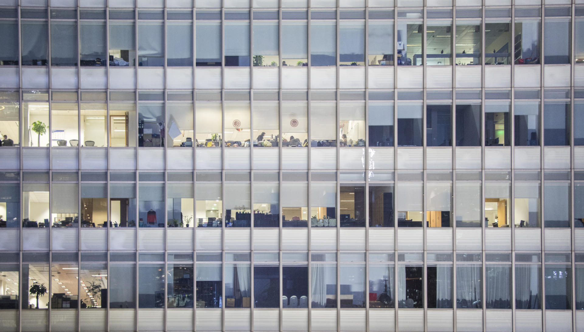 《牛角包一样的会计》：财务专家的投资手记，深受投资新手欢迎