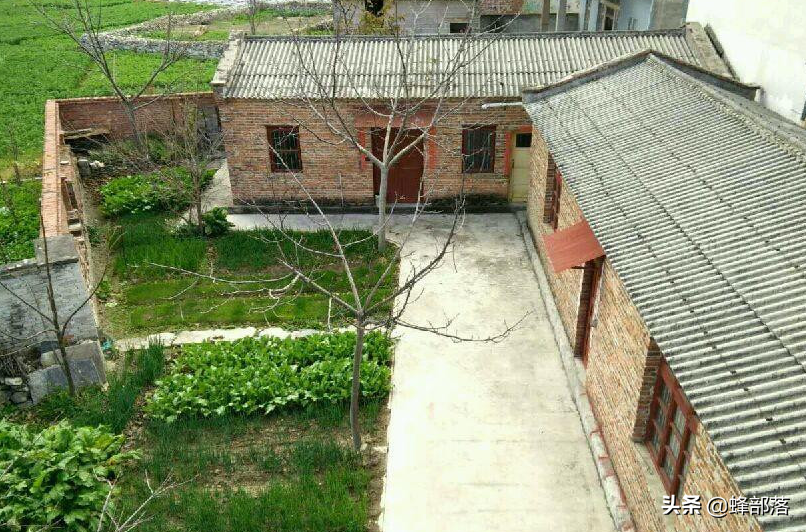 农村耕地建房涉及违建，已经在耕地上建好的房子，会强制拆除吗？