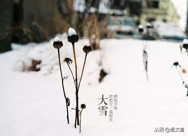 「名家名作」鲁迅：雪