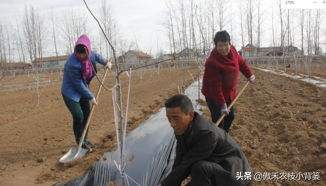 氯化铵是酸性还是碱性（氯化铵使用的7个注意事项）