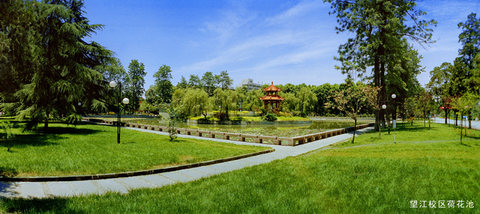 中国高校之四川大学