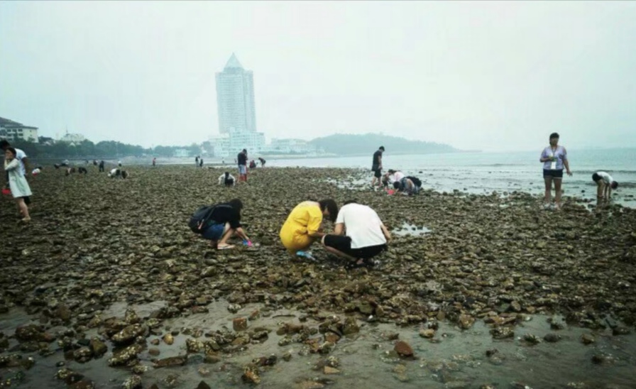 打卡山东：泰山-济南-青岛