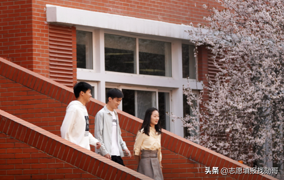 河南一所“巨无霸”大学，在校生人数“超七万”，综合实力很强悍