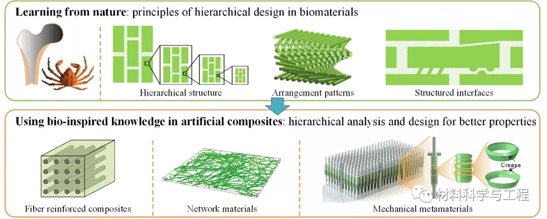 北航-武大-清华联手发顶刊综述:多层级复合材料力学研究进展
