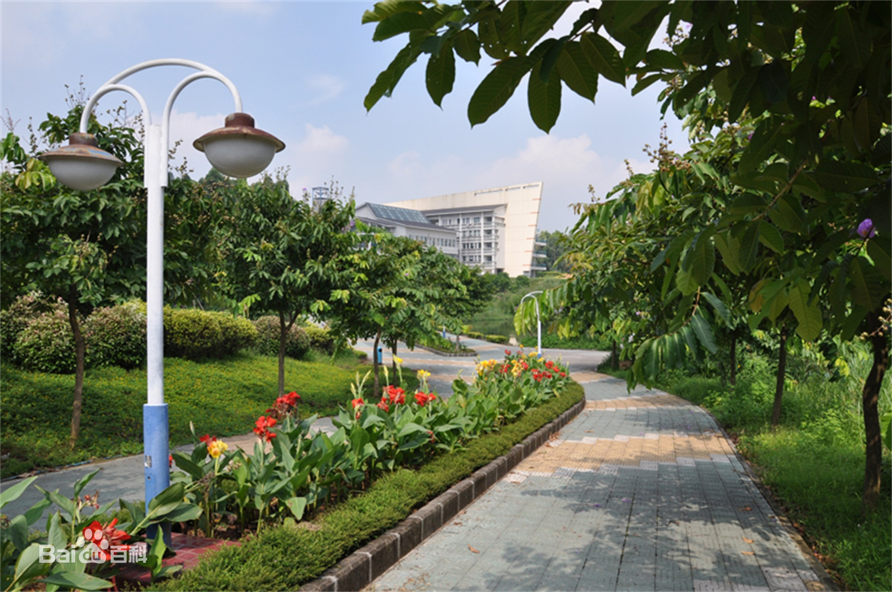 广东轻工职业技术学院如何？