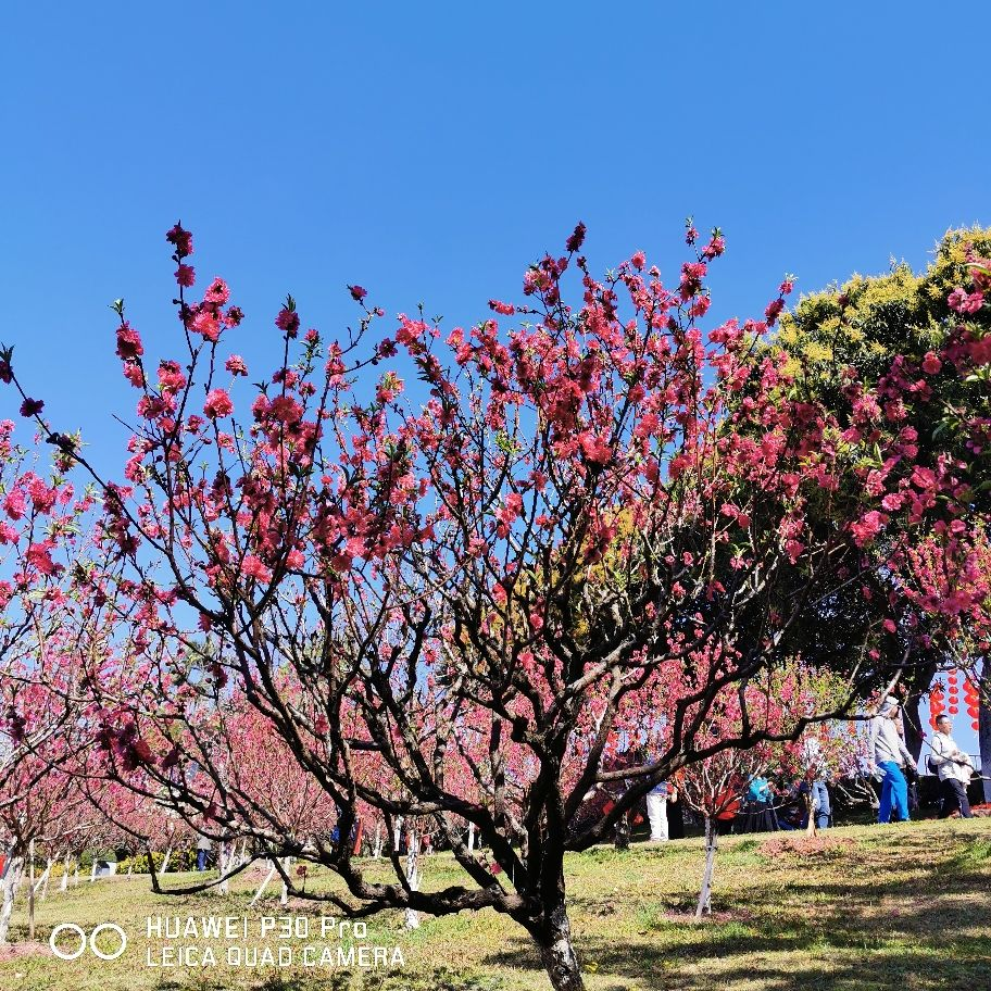 春季是一年伊始，抓住养生好时节，身体更棒